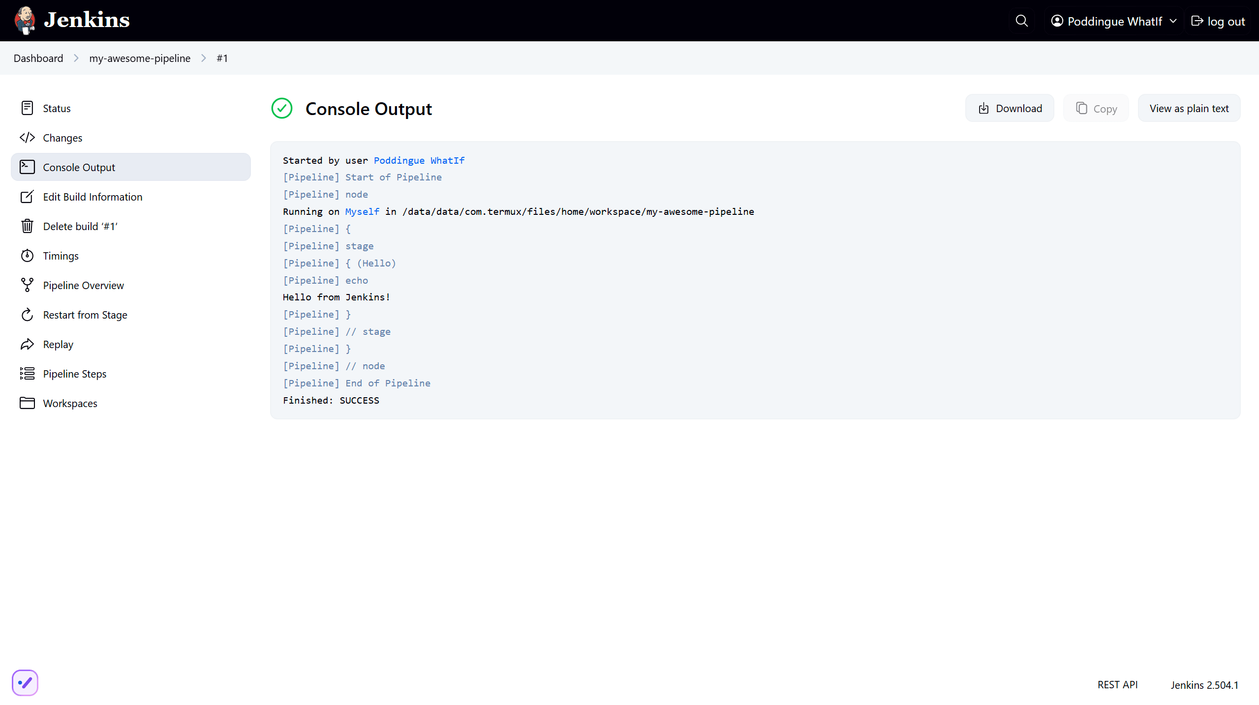 first Jenkins output console